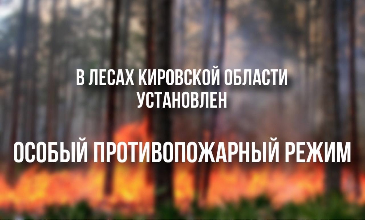 В лесах Кировской области установлен особый противопожарный режим.