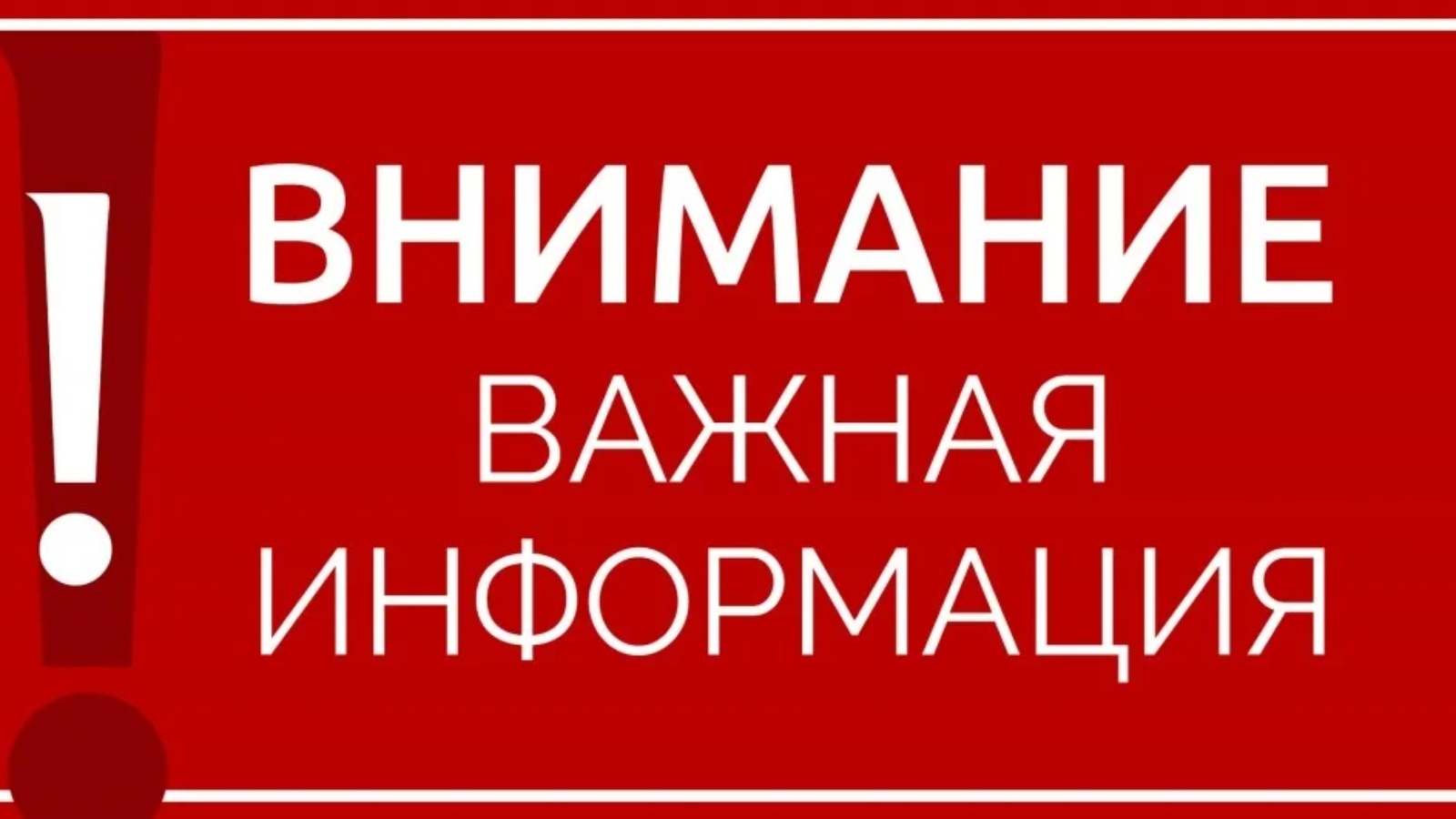 О запрете на отчуждение древесины, заготовленной гражданами для собственных нужд.