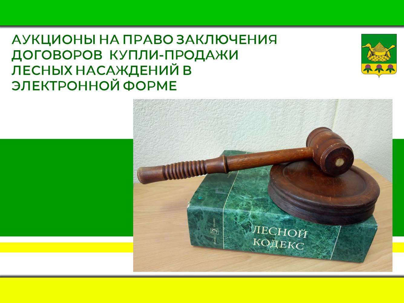 Информация об аукционах на право заключения договоров купли-продажи лесных насаждений в электронной форме..