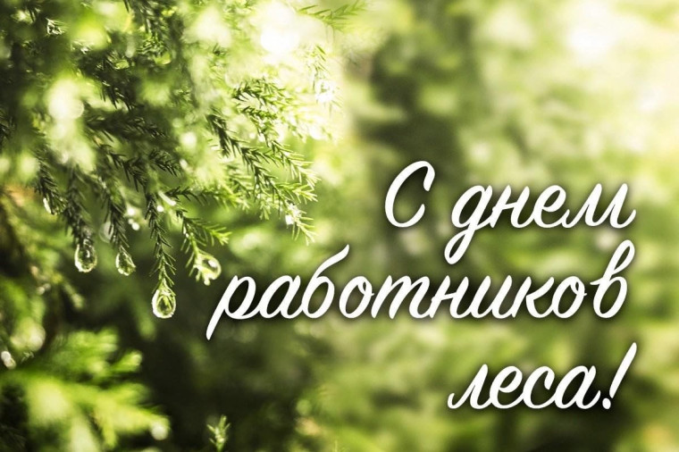 Официальное поздравление главы района О.Ю. Елькина с Днём работников леса. Официальное поздравление главы района О.Ю. Елькина с Днём работников леса.